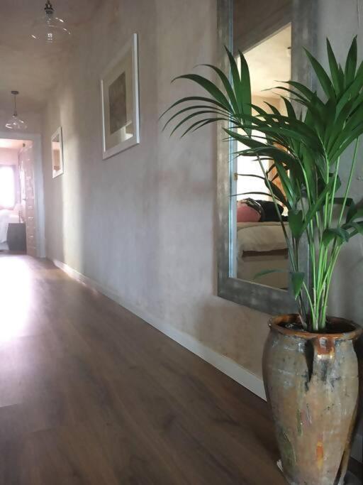 Luxury Danna Plaza Mayor كوينكا المظهر الخارجي الصورة