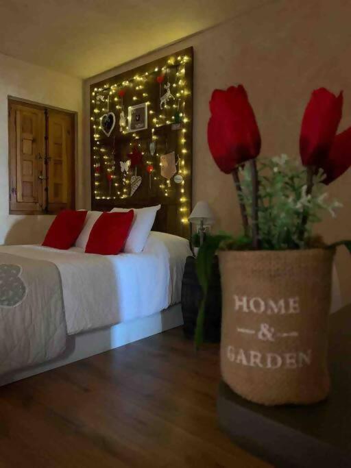 Luxury Danna Plaza Mayor كوينكا المظهر الخارجي الصورة